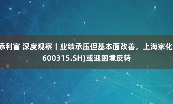 添利富 深度观察｜业绩承压但基本面改善，上海家化(600315.SH)或迎困境反转