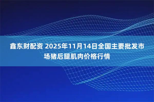 鑫东财配资 2025年11月14日全国主要批发市场猪后腿肌肉价格行情