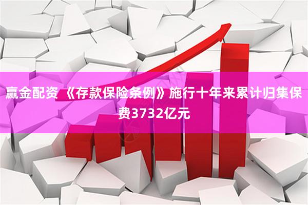 赢金配资 《存款保险条例》施行十年来累计归集保费3732亿元