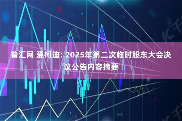 普汇网 爱柯迪: 2025年第二次临时股东大会决议公告内容摘要
