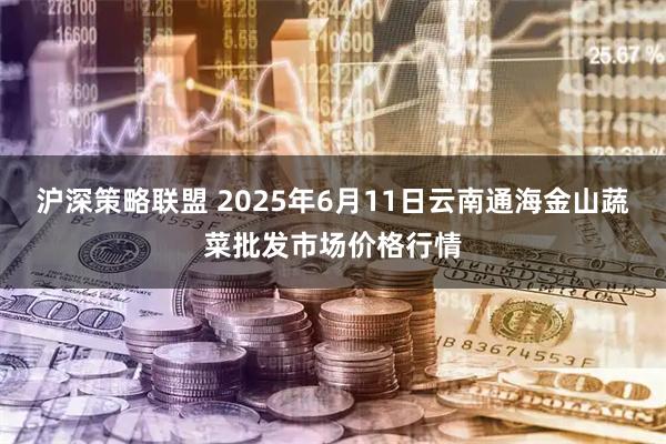 沪深策略联盟 2025年6月11日云南通海金山蔬菜批发市场价格行情