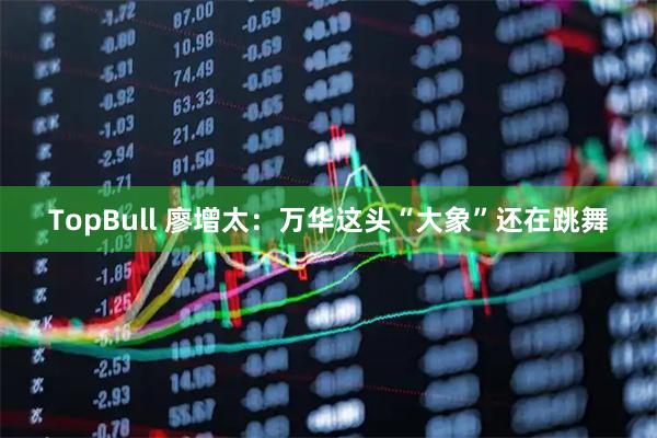 TopBull 廖增太：万华这头“大象”还在跳舞