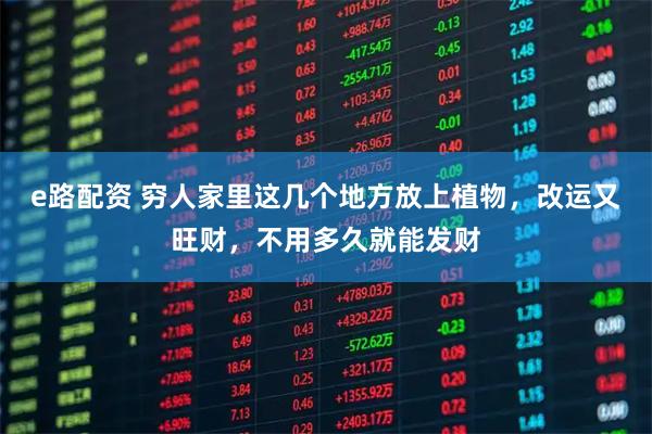 e路配资 穷人家里这几个地方放上植物，改运又旺财，不用多久就能发财